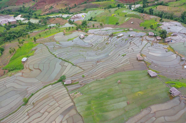 꼭대기에는 시외에 반사되어 농경지가 산비탈 치앙마이 타이의 산등성이 수확하는 농작물 — 스톡 사진