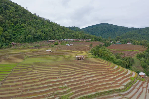 Aerial top view of paddy rice terraces with water reflection, green agricultural fields in countryside, mountain hills valley, Pabongpieng, Chiang Mai, Thailand. Nature landscape. Crops harvest.