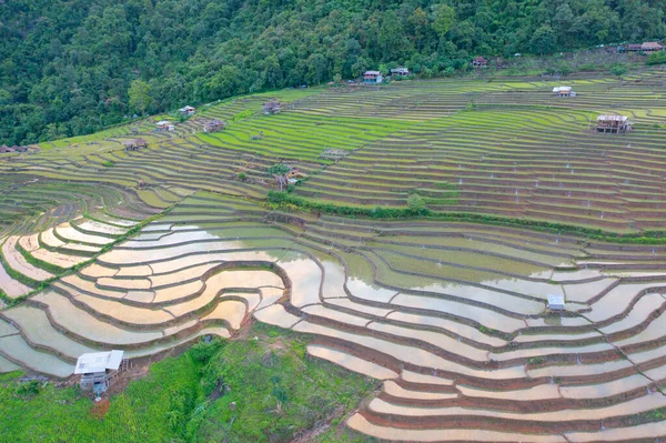 水の反射と水田棚田の空中トップビュー 田舎の緑の農業分野 山の丘の谷 Pabongpieng チェンマイ 自然の風景 作物の収穫 — ストック写真