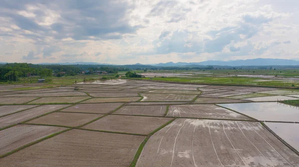 Yansıtmalı Çeltik Pirinç Terasları Kırsal Alanlarda Yeşil Tarım Alanları Dağ — Stok fotoğraf