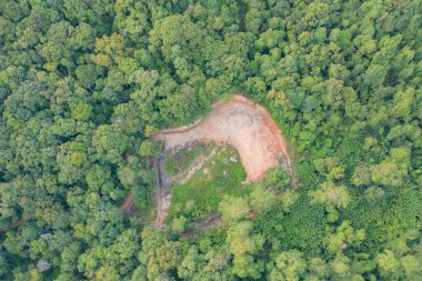 Tayland 'da yaz mevsiminde, ulusal parktaki tropikal ormanlardaki yemyeşil ağaçların ve dağların havadan görünüşü. Doğa manzarası. Desen dokusu arkaplanı.
