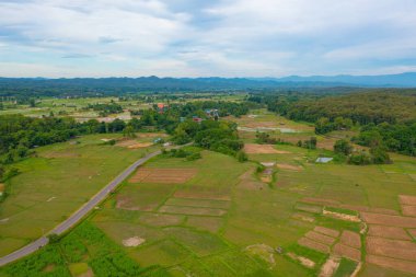 Kuru otların, pirincin ve tarım konseptindeki yeşil dağ tepelerinin havadan görünüşü. Tayland 'daki doğa manzarası. Hasat et. kuraklık.