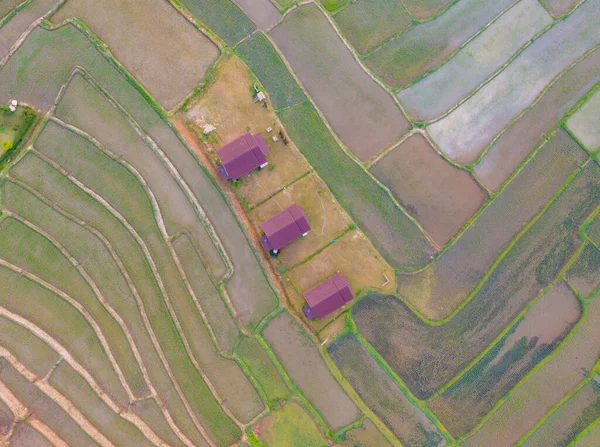 Luftaufnahme Von Bauernhausgebäuden Mit Reisterrassen Mit Wasserspiegelung Grünen Landwirtschaftlichen Feldern — Stockfoto