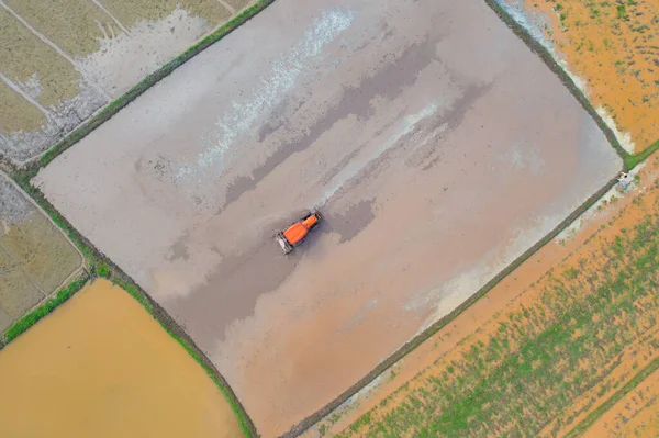 Vista Aérea Superior Carro Arroz Trator Trabalhando Água Para Crescer — Fotografia de Stock