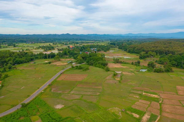 농작물밭을 공중에서 내려다볼 수있었고 농업의 개념으로는 있었다 태국의 풍경입니다 — 스톡 사진