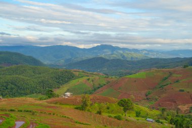 Orman ağaçlarının ve yeşil dağ tepelerinin havadan görünüşü. Doğa manzarası arka planı, Tayland.