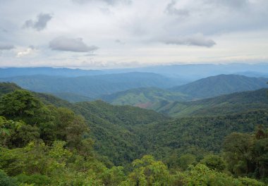 Orman ağaçlarının ve yeşil dağ tepelerinin havadan görünüşü. Doğa manzarası arka planı, Tayland.