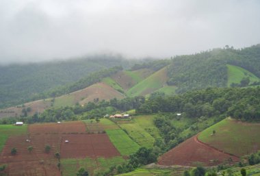 Orman ağaçlarının ve yağmur fırtınalı yeşil dağ tepelerinin havadan görünüşü. Doğa manzarası arka planı, Tayland.