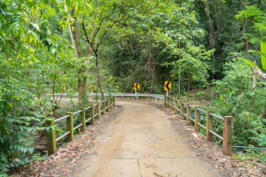Ulusal parktaki orman ağaçlarının oradaki patikaya gidiyorum. Doğa manzarası. Macera yaşam tarzı.