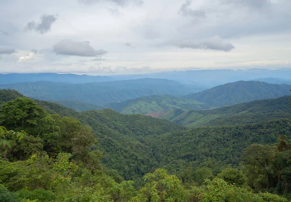 Vista Aérea Superior Árvores Florestais Montanha Verde Natureza Paisagem Fundo — Fotografia de Stock