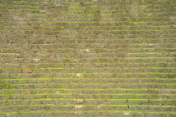 Musgo Crescendo Degrau Pedra Parede Tijolo Grama Úmida Verde — Fotografia de Stock