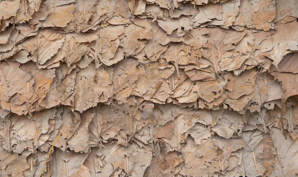 Τροπικά Ξηρά Φύλλα Στρώμα Στην Οροφή Φυσικό Μοτίβο Σπίτι Υφή — Φωτογραφία Αρχείου