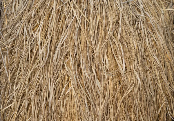Zbliżenie Słomy Siana Sucha Powierzchnia Trawy Wsi Natura Wzór Tekstury — Zdjęcie stockowe