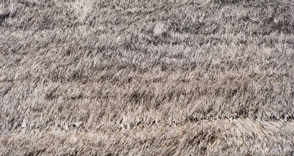 Gros Plan Surface Herbe Sèche Paille Foin Dans Campagne Rurale — Photo