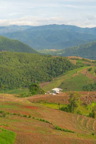 Ett Litet Hus Skogsträd Och Gröna Fjällbackar Natur Landskap Bakgrund — Stockfoto