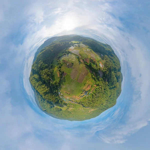 Little Planet 360 Degree Sphere Panorama Aerial Top View Paddy — Stock Photo, Image