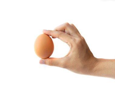 Yumurta tutan bir el. Besin maddesi beyaz arka planda izole edilmiş. İnsanlar