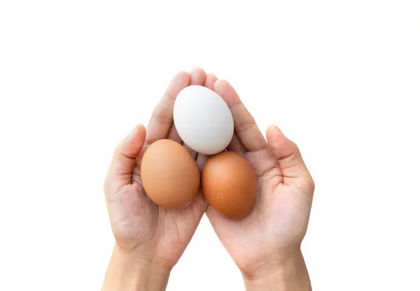 Mãos Segurar Ovos Ingrediente Alimentar Isolado Sobre Fundo Branco Pessoas — Fotografia de Stock