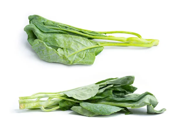 Collard Greens Fresh Kale Vegetable Raw Organic Healthy Food Grocery — Stock Photo, Image