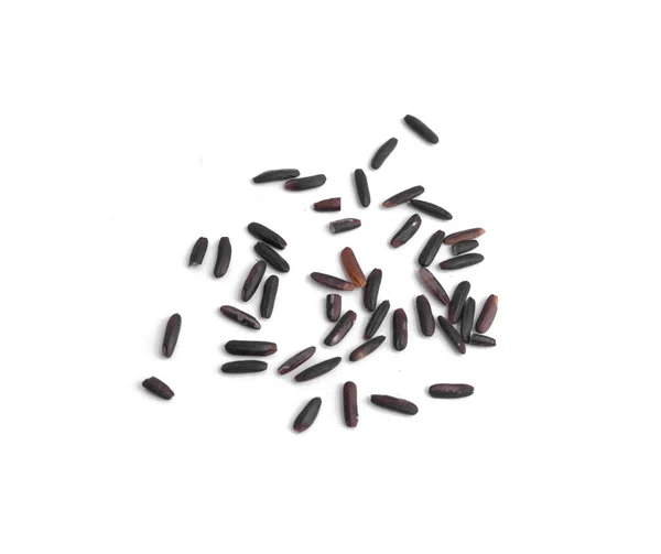 Padie Rijst Met Zwarte Rijstbes Rijst Geïsoleerd Witte Achtergrond Biologisch — Stockfoto
