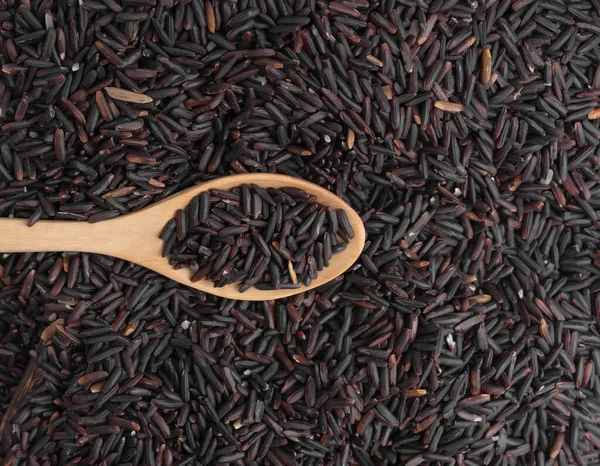 Padie Rijst Met Zwarte Rijstbes Rijst Geïsoleerd Witte Achtergrond Biologisch — Stockfoto