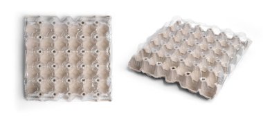 Beyaz arka planda temiz plastik kapaklı yumurta kağıdı kutusu. Tepsi, kap ya da kutu. Yiyecekler. Paketleme.