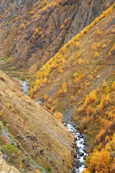 Dağlar Arasındaki Vadideki Nehir Manzaralı Rengarenk Sonbahar Ormanı Kafkas Dağları — Stok fotoğraf