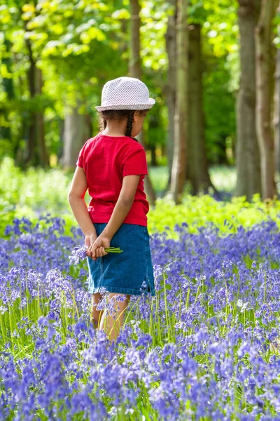 混合レースアフリカ系アメリカ人の女の子子供ブルーベルの木や春に花を摘む森の中を歩く — ストック写真