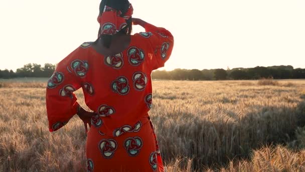 Agricultora Africana Vestida Con Ropa Tradicional Campo Cultivos Trigo Cebada — Vídeos de Stock