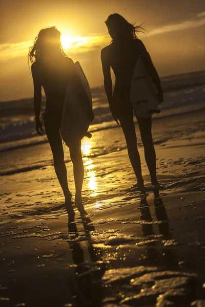 Hermosas mujeres Bikini Surfistas y tablas de surf en la playa —  Fotos de Stock