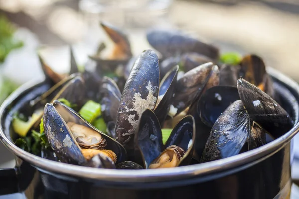 Moules Mariniere Mussels — Stock Photo, Image