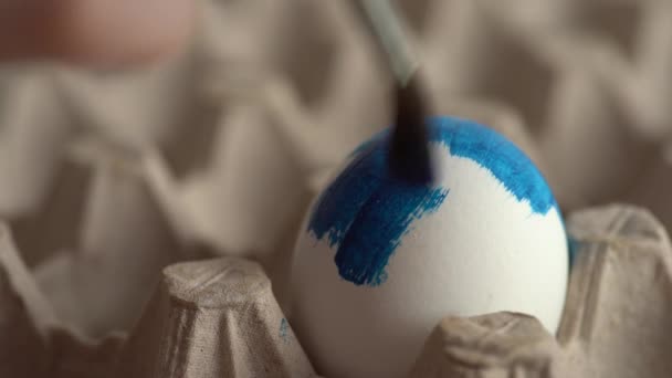Close Painting Egg Cardboard Stand Blue Paint Preparing Easter Happy — Stock Video