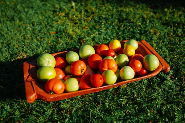 Gröna och röda tomater i trägolv — Stockfoto