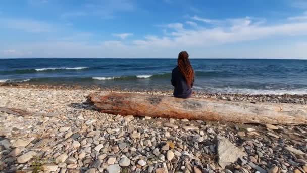 Girl with dreadlocks sitting on log on rocky shore and looking at restless waves — Stock Video