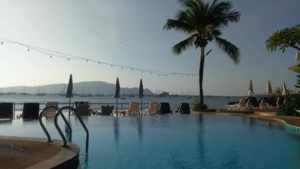 El viento se balancea ramas de palma en el hotel cerca de la piscina y muchas tumbonas con sombrillas — Vídeos de Stock