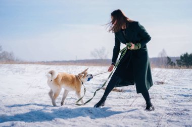 Yeşil tasmalı Akita Inu köpeği koyu yeşil ceketli bir kadınla ip oyuncağıyla oynuyor.