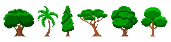Green pixel trees in garden. Bulky solid oak with tropical palm and tall pine — Wektor stockowy