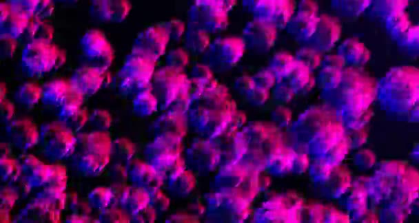 暗面上扭曲的霓虹灯气泡流 在快速流动的球体中 水泡3D呈现飞溅梯度 带有紫色图案的几何线条的彩色数字工艺品 — 图库视频影像
