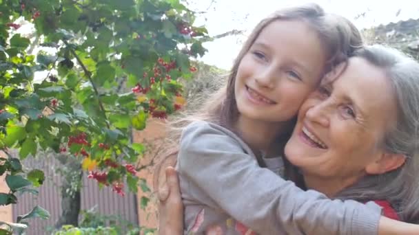 Senior mormor med grått hår bär röd tröja med sin lilla sondotter kramas i trädgården och under solig dag utomhus, mödrar dag — Stockvideo
