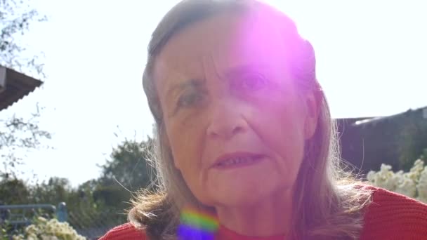 Portret starszej kobiety z siwymi włosami i twarzą ze zmarszczkami w czerwonym swetrze z dzianiny i relaksujący w parku w słoneczny dzień — Wideo stockowe