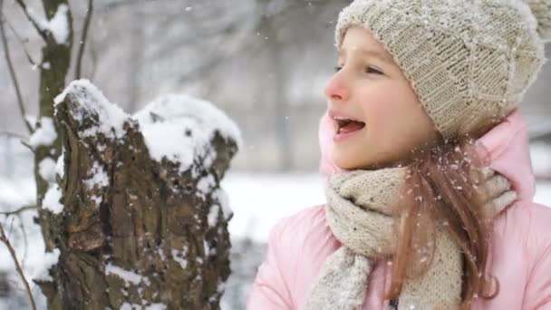 Zimowy portret dziewczynki w różowym płaszczu w beżowym kapeluszu i rękawiczkach bawiącej się na świeżym powietrzu w śnieżnym lesie zimowym i wiejącym śniegu. Szczęśliwego dzieciństwa i aktywnego wypoczynku koncepcja — Wideo stockowe