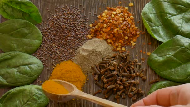 Le spezie classificate su sfondo scuro sono aggiunte da cucchiaio di legno, seasonings per cibo. Vista dall'alto di curry, paprica, pepe, chiodi di garofano, foglia di alloro, curcuma, concetto di spezie. — Video Stock