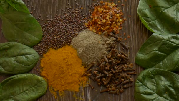 Main féminine prendre une pincée d'épices triées de fond de bois sombre, assaisonnements pour la nourriture. Vue d'ensemble du curry, paprika, poivre, clous de girofle, laurier, curcuma, épices concept. — Video