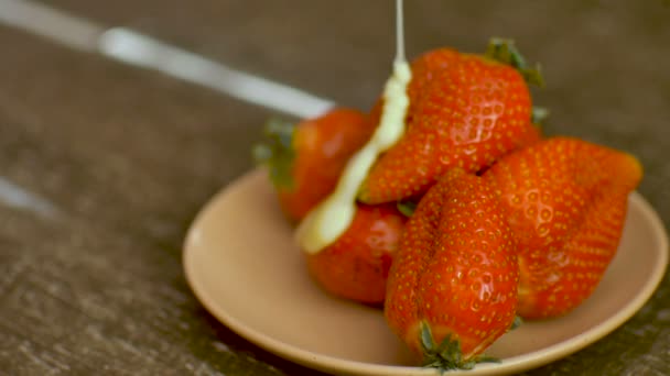 Fraises mûres rouges sur assiette ronde avec quelques morceaux de sucre de canne et chocolat blanc fondu — Video