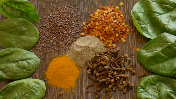 Weibliche Hand greift nach aussortierten Gewürzen aus dunklem Holz, Gewürzen für Lebensmittel. Draufsicht auf Curry, Paprika, Pfeffer, Nelken, Lorbeerblatt, Kurkuma, Gewürzkonzept. — Stockvideo