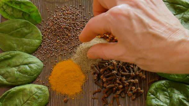 La mano femminile prende un pizzico da spezie classificate da sfondo di legno scuro, seasonings per cibo. Vista dall'alto di curry, paprica, pepe, chiodi di garofano, foglia di alloro, curcuma, concetto di spezie. — Video Stock