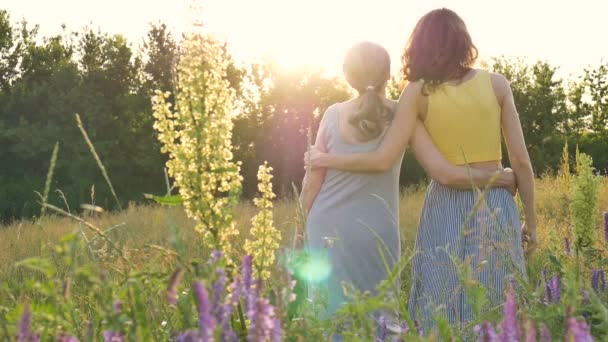 Rückansicht einer älteren Mutter mit grauen Haaren und ihrer erwachsenen Tochter im Garten, die sich bei Sonnenschein, Sonnenuntergang im Freien und Muttertag umarmt — Stockvideo