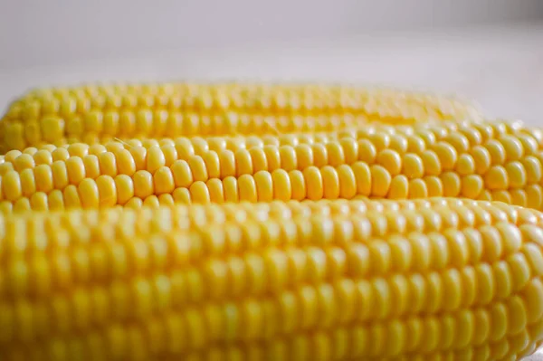 Tiro de espigas de milho, grãos amarelos de milho. Agricultura e conceito de alimentação saudável. — Fotografia de Stock