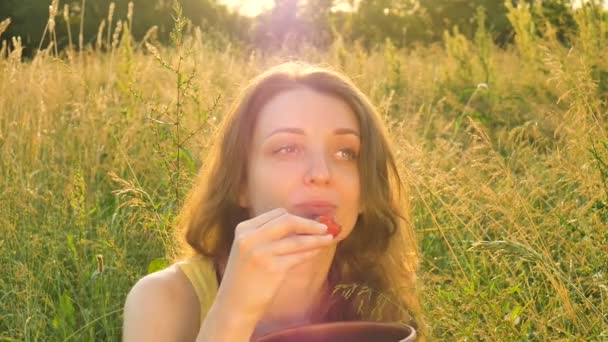 Kvinnliga porträtt av vacker flicka äter mogna jordgubbar under sommaren picknick på fältet eller ängen under soluppgången, myggor flyger i luften — Stockvideo