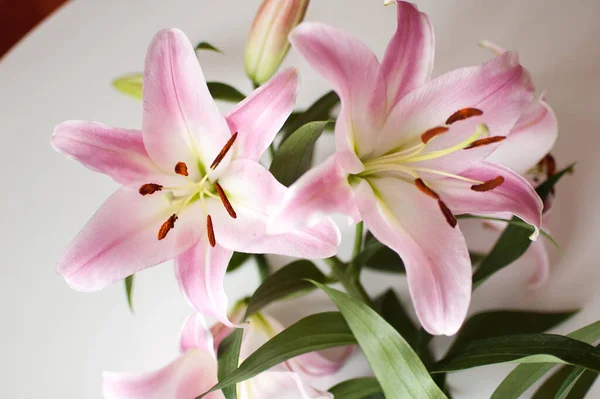 Foto de un ramo perfecto de hermosos lirios en la mesa, flores de lirio rosa — Foto de Stock